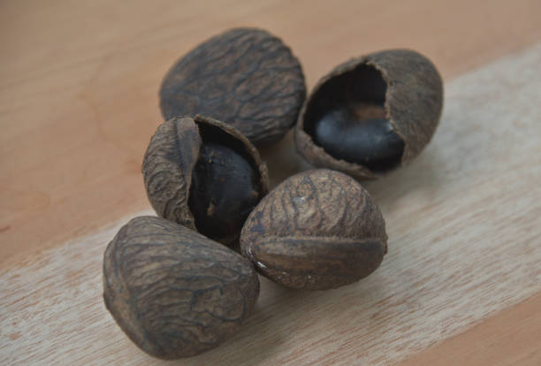 istock Pangium edule fruit, traditional Indonesia food ingredient 1357586632
