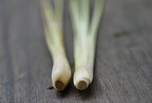 Cymbopogon citratus, commonly known as West Indian lemon grass or simply lemon grass, is a tropical plant and abundant in  Indonesia where it is known as sereh. Its fragrant leaves are traditionally used in cooking, particularly for lechon and roasted chicken.