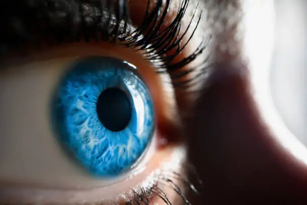 Beautiful open female eye, blue lenses, close-up. Human vision, human sight, side view. Ophthalmology