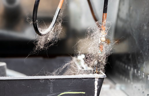 Dust and pet hair clumps wrapped around refrigerator condensate tub with signs of white efflorescence. Concept for appliance maintenance. Selective focus.