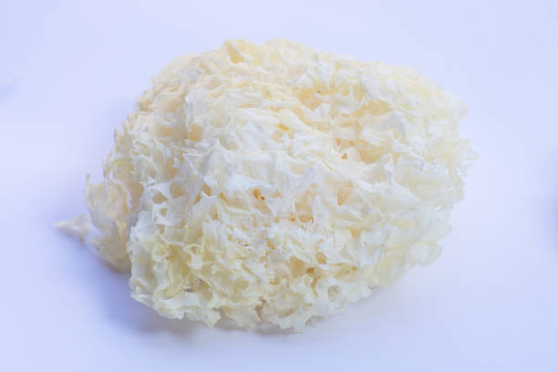 istock Tremella Mushroom on white background. 1357596132
