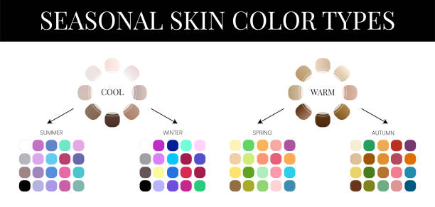 ilustrações de stock, clip art, desenhos animados e ícones de seasonal skin color analysis palette with color swatches - cold tint