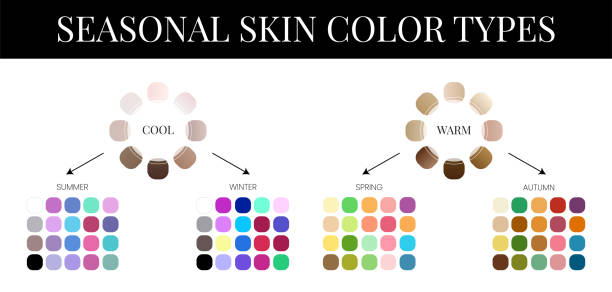 Seasonal Skin Color Analysis Palette with Color Swatches Seasonal Skin Color Analysis Palette with Color Swatches skin tone chart stock illustrations