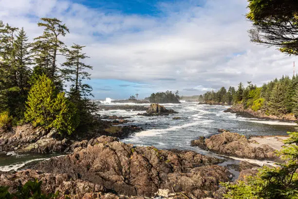 Photo of The rugged shore line of the west coast of Vancouver Island, viewed from the Wild Pacific Trail, Amphitrite Point, Ucluelet, British Columbia, Canada.