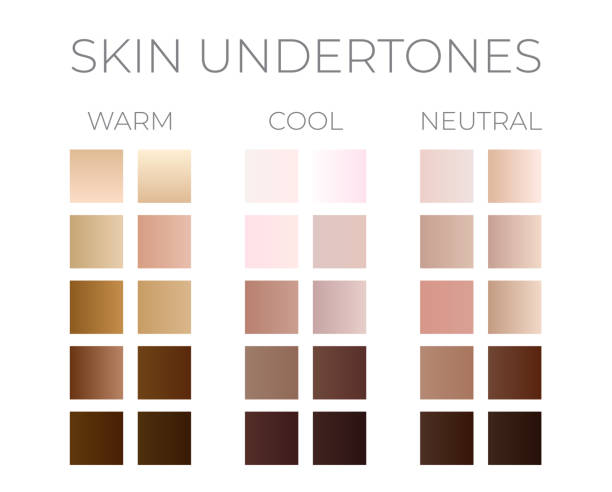 Gradient Skin Color Swatches Gradient Skin Color Swatches skin tone chart stock illustrations