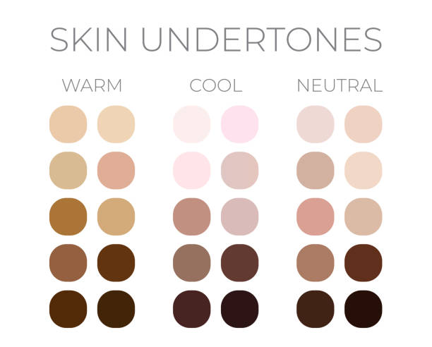 Skin Color Solid Swatches with Warm, Cool and Neutral Skin Undertones Skin Color Solid Swatches with Warm, Cool and Neutral Skin Undertones skin tone chart stock illustrations