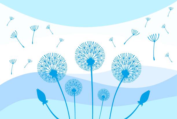 illustrations, cliparts, dessins animés et icônes de design de pissenlit bleu - dandelion freedom silhouette wind