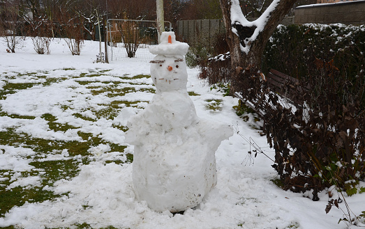 a snowman sadly slowly melting, dirty from mud and lack of snow will evoke a feeling of ruin and ugly changeable weather of winter February. frozen snow on lawn,