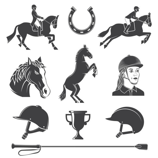 illustrations, cliparts, dessins animés et icônes de ensemble d’icône du sport équestre. illustration vectorielle. icône équestre monochrome vintage, signe avec cavalier, fer à cheval, casque, tête de cheval, culture d’équitation et silhouettes de chevaux - hurdling hurdle vector silhouette