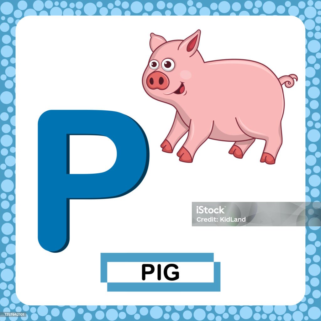 Letter P Uppercase With Cute Cartoon Pig Or Piglet Isolated On White  Background Funny Colorful Flashcard Zoo And Animals Abc Alphabet Education  Card For Kids Learning English Vocabularyvector Eps10 Stock Illustration -