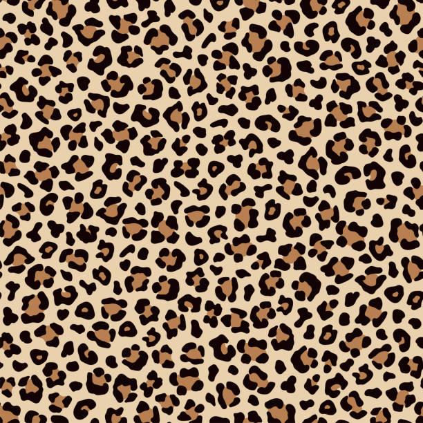 ilustraciones, imágenes clip art, dibujos animados e iconos de stock de patrón de pelaje irregular marrón beige leopardo sin costuras. vector - leopardo