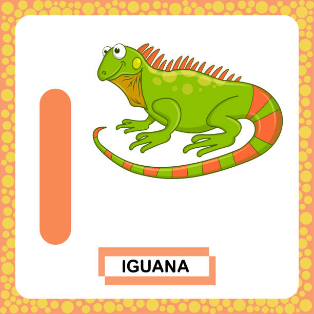  Letra I Para Iguana Ilustración Dibujo Animado Ilustraciones, gráficos vectoriales libres de derechos y clip art