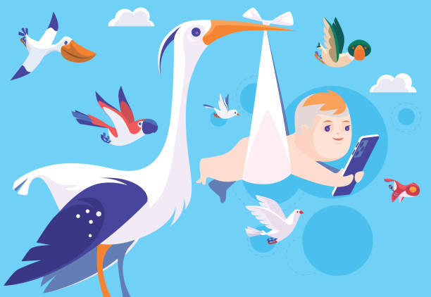 Bird Carrying Baby Illustrations, Royalty-Free Vector Graphics & Clip Art -  iStock