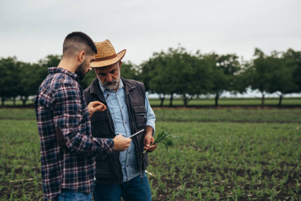 istock farmers talking outdoor on field 1357648130