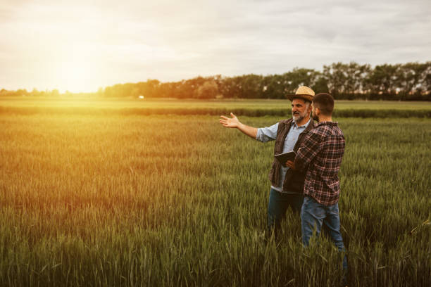 farmers talking outdoor on field