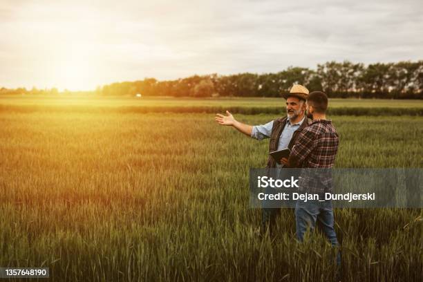 Farmers Talking Outdoor On Field Stock Photo - Download Image Now - Farmer, Talking, Agriculture