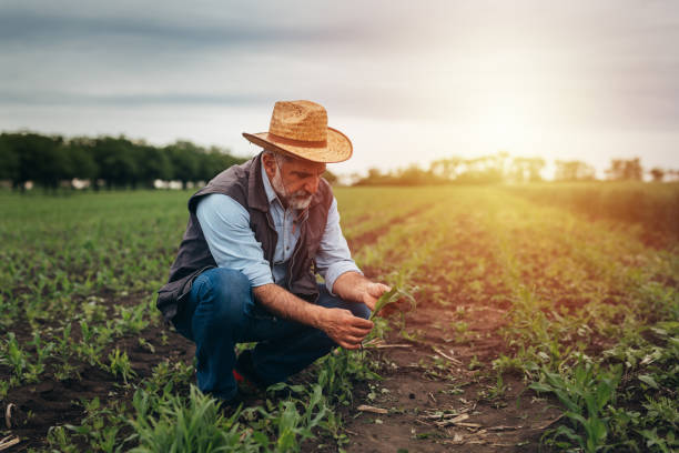 istock farmers on field 1357648192