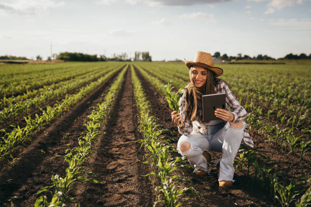 istock woman farmer outdoor 1357648459