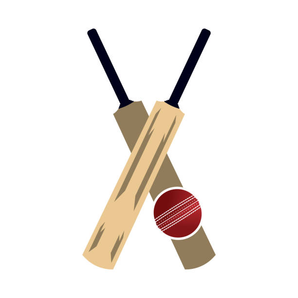 istock Cricket bat and ball illustration. Wooden bat, game, leisure activity. Sport concept. 1357651346