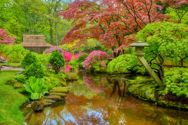istock Japanese garden, Park Clingendael, The Hague, Netherlands 1357652786