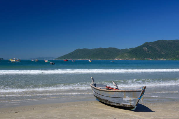 istock Pantano do Sul Beach - Santa Catarina 1357652828