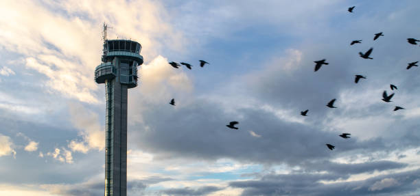 Air Traffic Control Tower at Dusk