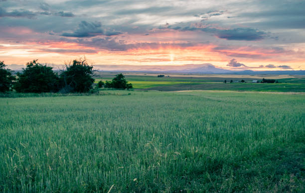 istock Farmland and Distant Mountains at Sunset 1357654545