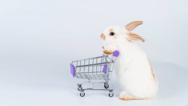 istock Adorable little fluffy baby white brown rabbit bunny pushing empty mini shopping cart while standing over isolated white background. Easter animal and shop supermarket concept. 1357657687