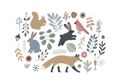 Hand drawn Scandinavian style forest animals and plants. Isolated vector illustration clip art