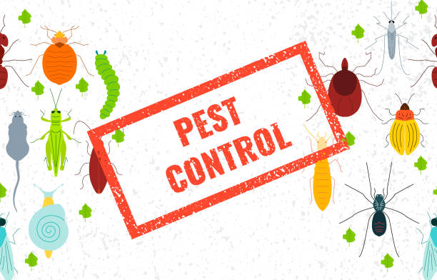 Press Control Insects 30+ Bed Bug Spray Natural Stock Photos, Pictures & Royalty-Free Images ...
