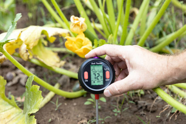 Soil test - measuring temperature and moisture content. Greenhouse effect and global warming concept. stock photo