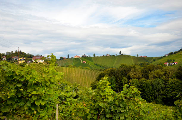 istock Austria, Styria, Tuscany of Austria 1357662777