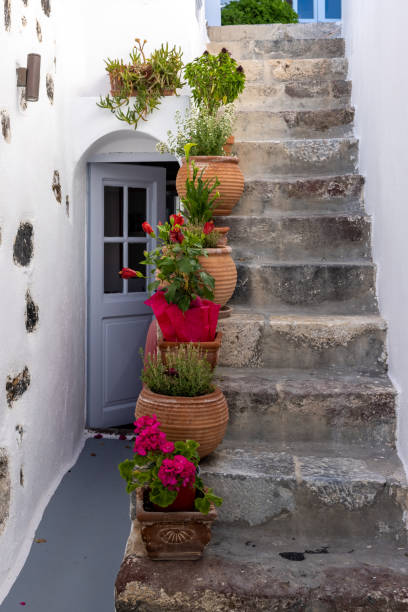 Ceramic flower pots on steep stone steps at Imergovigli, Santorini, Greece