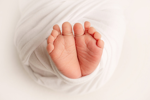 The tiny foot of a newborn. Soft feet of a newborn in a white blanket. Close up of toes, heels and feet of a newborn baby. Studio Macro photography. Woman's happiness. Concept.