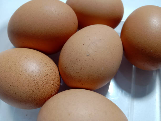 istock group of chicken eggs in a plastic container, on a white background 1357666620