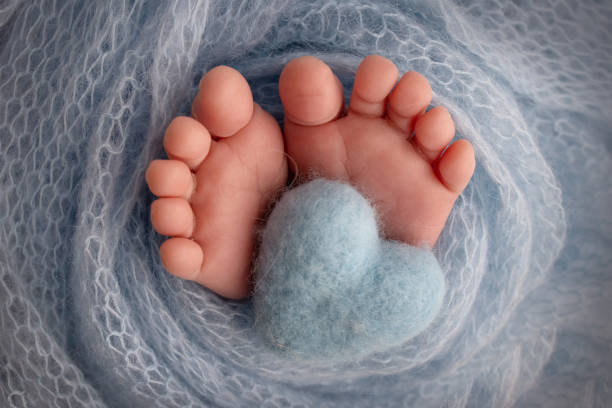 The tiny foot of a newborn baby. Soft feet of a new born in a blue blanket. Close up of toes, heels and feet of a newborn. Knitted blue heart in the legs of a baby. Studio macro photography. Concept. el pequeño pie de un bebé recién nacido. pies suaves de un recién nacido en una manta azul. primer plano de los dedos de los pies, los talones y los pies de un recién nacido. corazón azul tejido en las piernas de un bebé. fotografía macro de estudi
