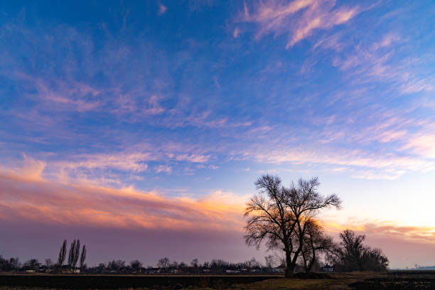 istock Clouds in the rays of the setting sun. 1357668214