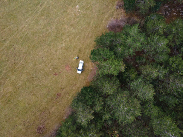 istock Directly Above Car Parked at the Edge of a Forest 1357672732