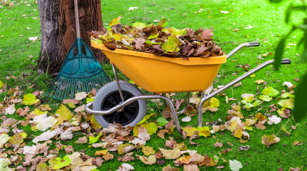 istock wheelbarrow and rake for collecting leaves 1357672983