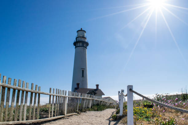 camino al viejo faro en un día soleado en california - pigeon point lighthouse fotografías e imágenes de stock