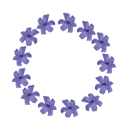 Ilustración de Corona De Flores Azul Aislada Sobre Fondo Blanco Marco De Dibujo A Mano De Acuarela Para Saludo Invitación Diseño De Tarjeta De Boda Flores De Primavera Linda Plantilla Lugar Para Ilustración de Corona De Flores Azul Aislada Sobre Fondo Blanco Marco De Dibujo A Mano De Acuarela Para Saludo Invitación Diseño De Tarjeta De Boda Flores De Primavera Linda Plantilla Lugar Para