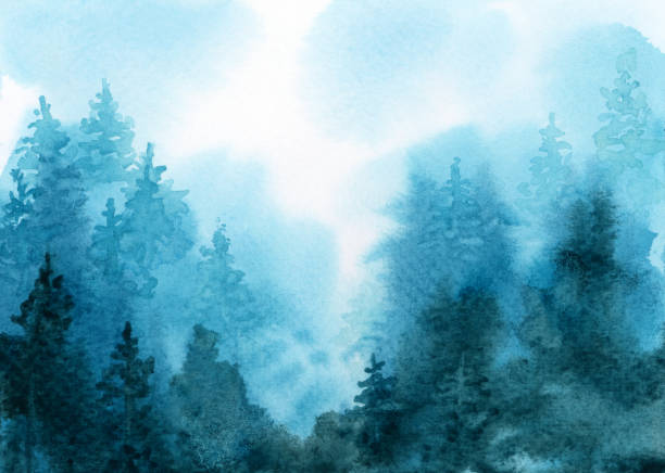 futro i las sosnowy we mgle. abstrakcyjna akwarela i akrylowy przepływ blot rozmazyć malowanie. - pine tree flash zdjęcia i obrazy z banku zdjęć