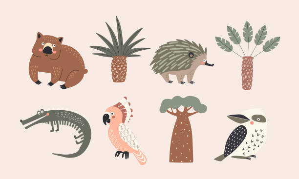 illustrazioni stock, clip art, cartoni animati e icone di tendenza di insieme di illustrazioni vettoriali isolate di alberi e animali australiani - wombat