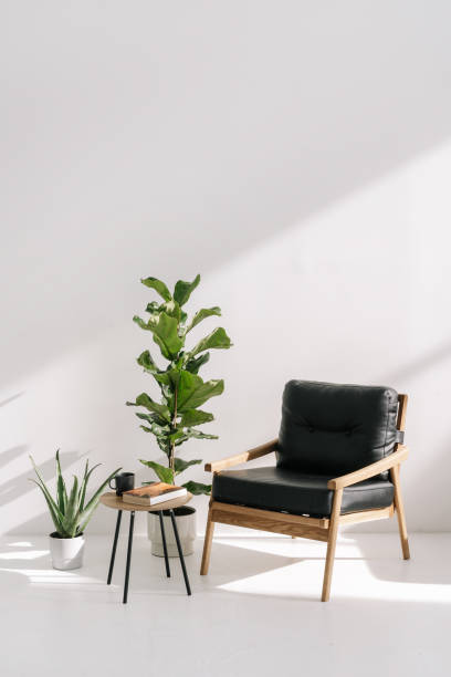 istock Leather armchairs standing near houseplants and coffee table 1357679814