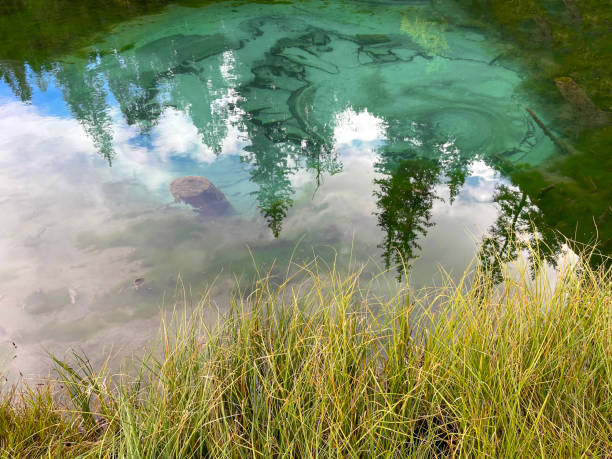 istock Trees and sky reflecting in water 1357683548