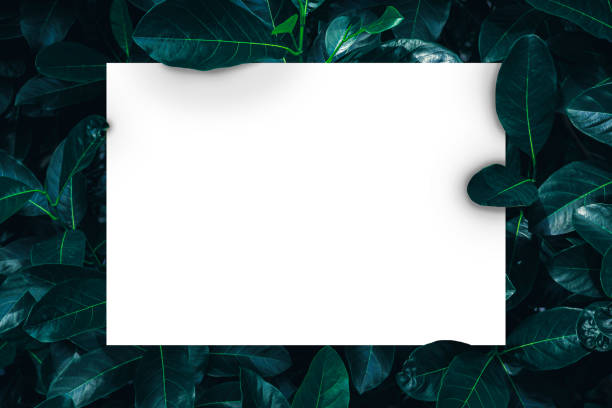 istock Creative layout made of leaves with paper card note. 1357685132