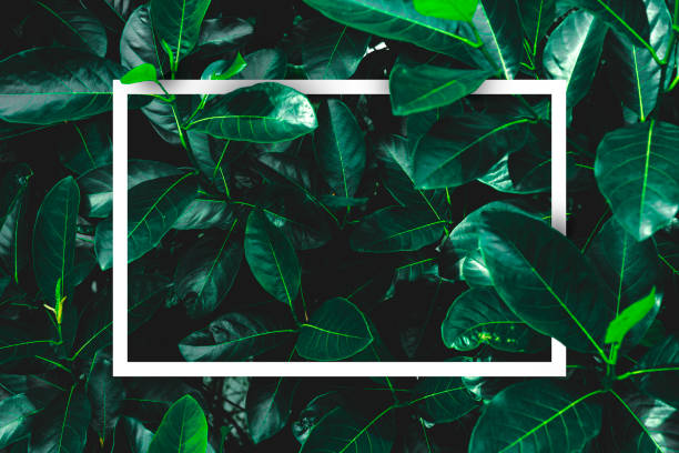 istock Creative layout made of flowers and leaves with paper card note. 1357685177