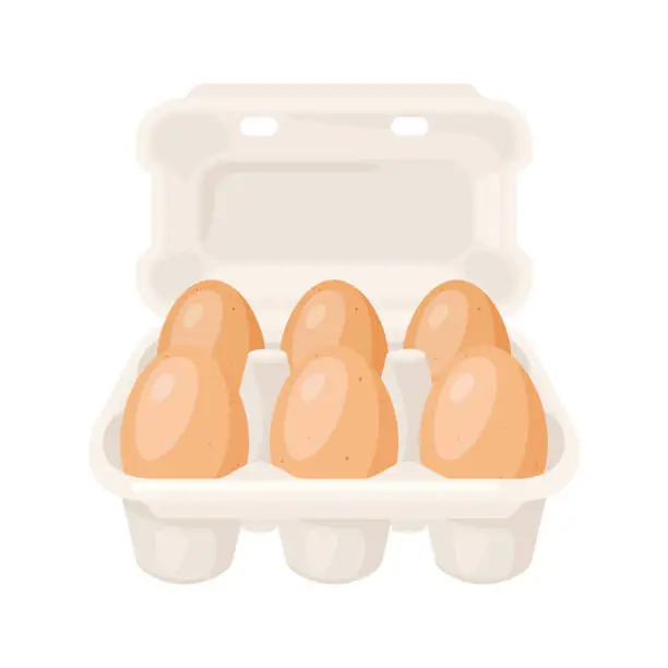 Vector illustration of Illustration of brown chicken eggs in carton pack. Image for food and agricultural industries.