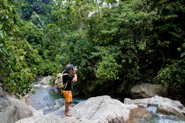 istock senior Asian photographer standing in jungle 1357687805