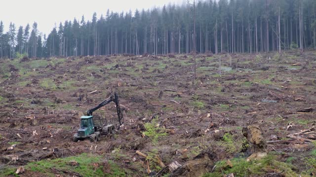 Massive deforestation in Ciucas Mountains, Romania.